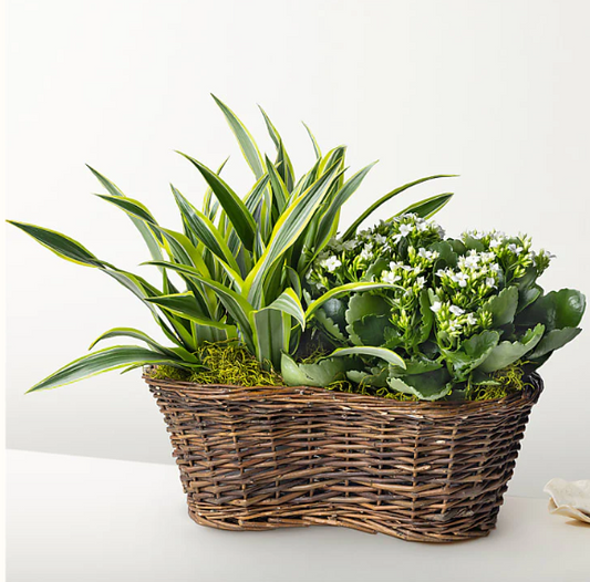 Plant Garden Basket