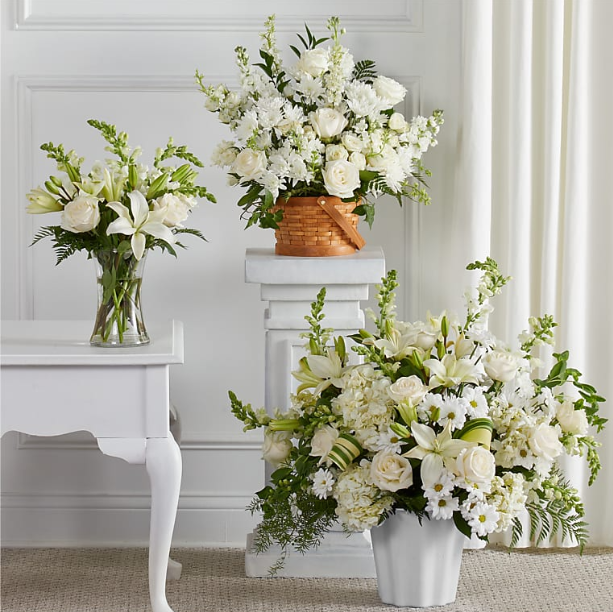 Sincerest Condolences Collection