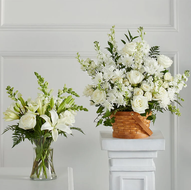 Sincerest Condolences Collection