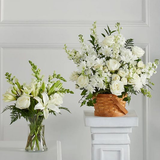 Sincerest Condolences Collection
