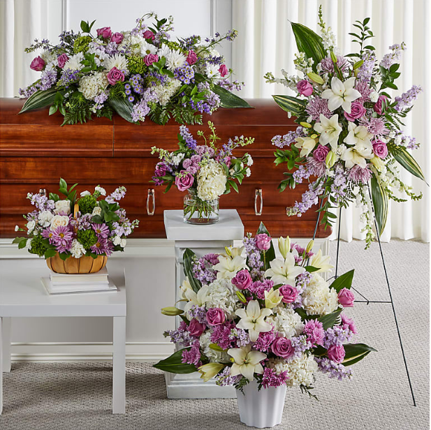 Tender Embrace Collection