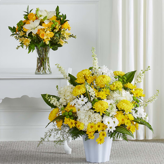 Warm Remembrance Collection