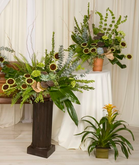 Woodland Collection