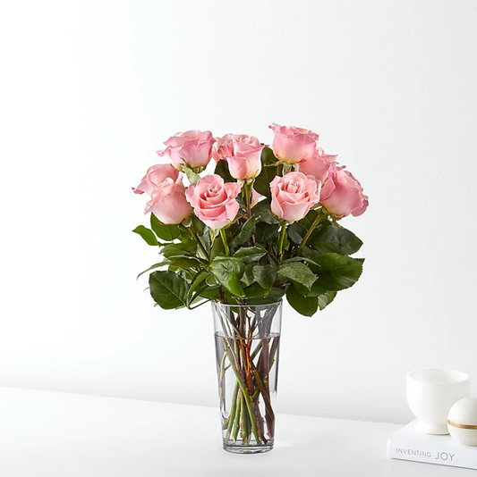 Long Stem Light Pink 12 Roses Bouquet