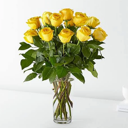 Long Stem Yellow 12 Roses Bouquet
